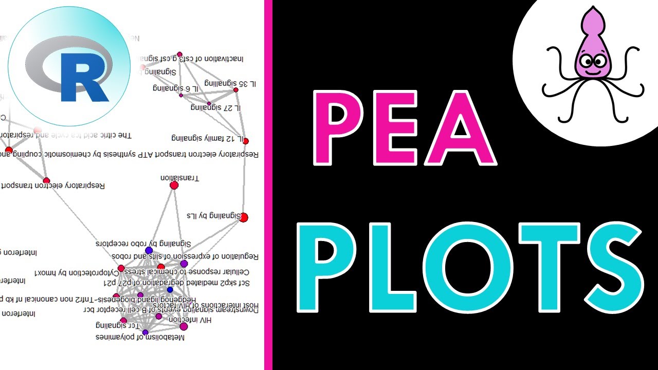 Pathway Enrichment Analysis plots: easy R tutorial
