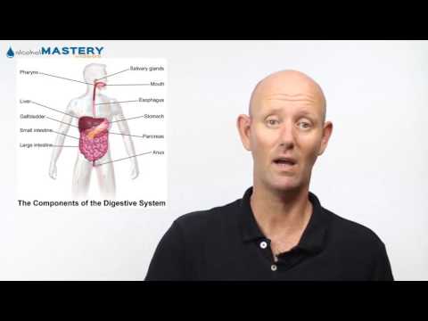 Emotional Eating - Food is Fuel NOT Therapy! Learn How to Comfort Yourself!