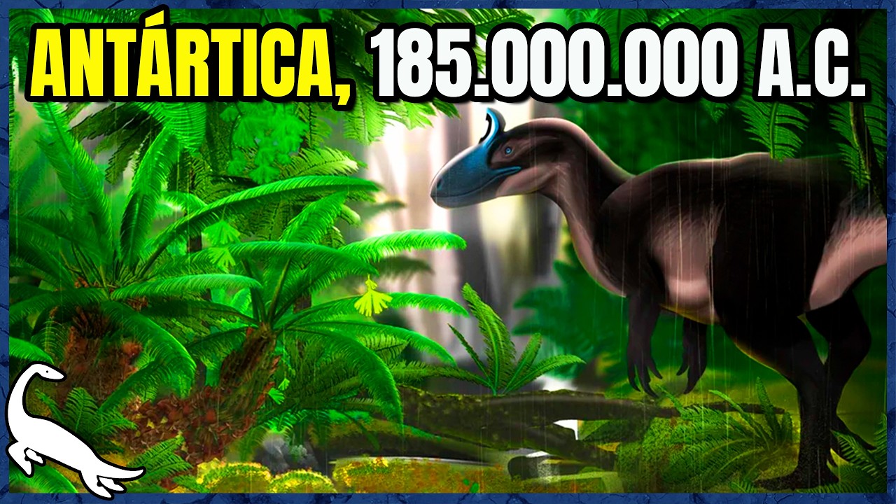 Uma JORNADA pelas FLORESTAS PRÉ-HISTÓRICAS!