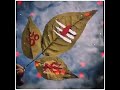 Tere Naam Ki Jyot Ne Sara Har Liya New Mahakal Status Mahakal Mahadev Bholenath Shiv Status
