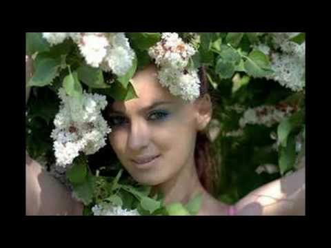 Helmut Zacharias   When The White Lilacs Bloom Again