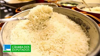 Neri Geller fala sobre  leilão para importação de arroz - Comissão de Agricultura - 18/06/2024