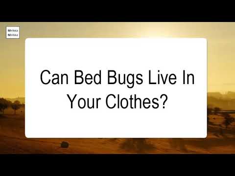 YouTube video about: Can bed bugs bite through clothing?