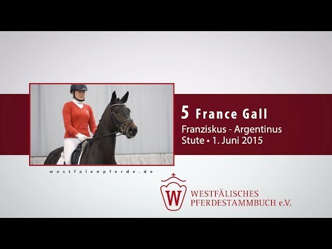 05 France Gall Stute v. Franziskus - Argentinus
