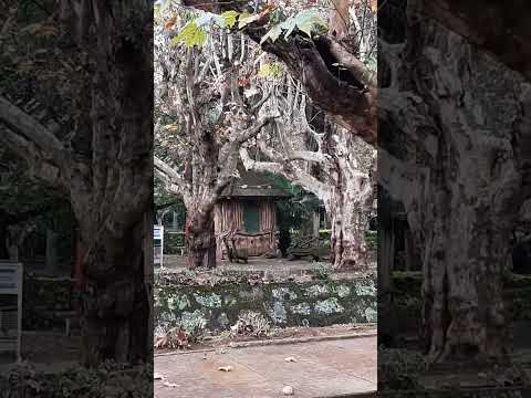 Parque de Caxambu MG