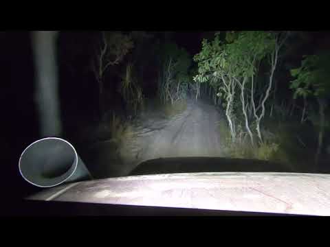 Td42t screamer and turbo dose