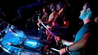 Kiwi - Pigeons Playing Ping Pong at The Barns at Rosehill 2.2.2013