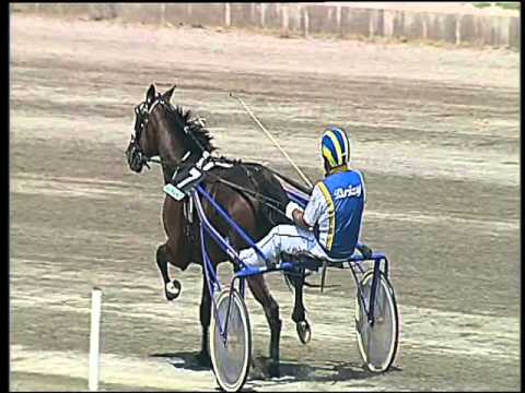 Trotto 29/04/2016 - 1° Corsa