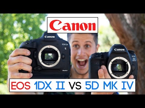 download lagu mp3 mp4 1ds Mark Iii Vs 5d Mark Iv, download lagu 1ds Mark Iii Vs 5d Mark Iv gratis, unduh video klip 1ds Mark Iii Vs 5d Mark Iv