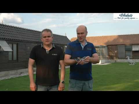 Luc Van Mechelen: 1st National Bourges 12,448 yearbirds