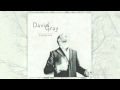 David Gray - Only The Wine (Official Audio)
