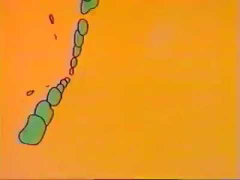 Gordon Spicer Band - Telephone Bore