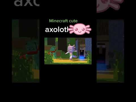 Cute Axolotl Falls in Love in Minecraft! Watch Now!