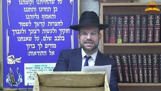 אין דבר כזה יום שחור | הרב אריה שיינפלד (קו ההלכה הספרדי) - התמונה מוצגת ישירות מתוך אתר האינטרנט יוטיוב. זכויות היוצרים בתמונה שייכות ליוצרה. קישור קרדיט למקור התוכן נמצא בתוך דף הסרטון