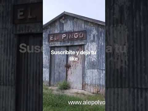 El Pingo Entre Rios