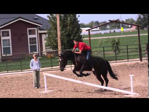 EhCapa practice July   September, 2013