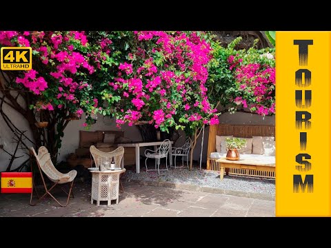 La Casa del Drago - Icod de Los Vinos in the north of Tenerife, Spain