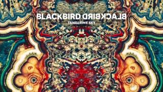 Blackbird Blackbird - Grow Old With Me (Don&#39;t Let Go)