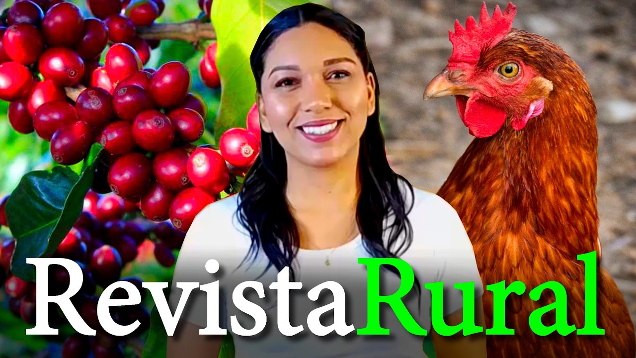 PROGRAMA REVISTA RURAL - 27/09/2026