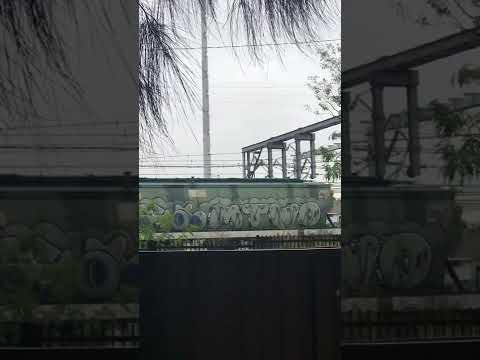 Australian train graffiti 2022