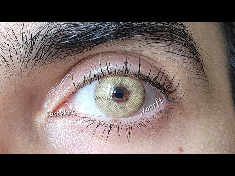 Just4kira Kira Brown Código descuento: moriseft20 @just4kira #contactlenses #moriseft #makeup #viral