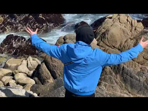 SNOW SHOW (episode 1) “San Jose/Monterey”