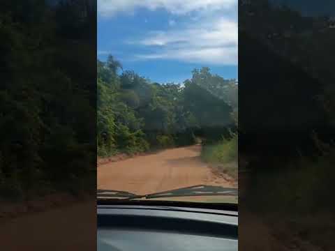 ESTRADA COLORIDA ( @trioparadadura ) MARILAC MINAS GERAIS 🇧🇷🇧🇷🇧🇷🇧🇷