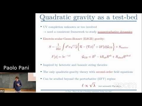 4'th Black-Hole Microstucture Conference - 26'th Rencontres Itzykson - Paolo Pani