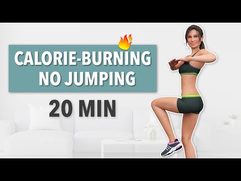 Top 10 Standing Exercises No Jumping For Weight Loss