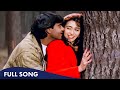 Jee Na Lage Bin Tere Yaara Karishma Kapoor Ajay Devgan Song Sadhana Sargam Udit Narayan