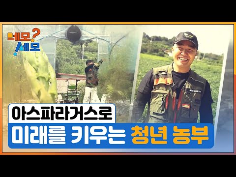 [네모세모] 미래를 심는 청년 농부