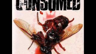Consumed - On The Take Again