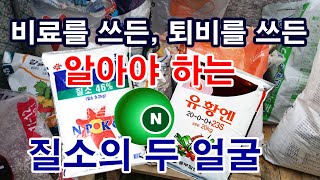 비료를 쓰든, 퇴비를 쓰든, 꼭 알아야 하는 질소의 양면 두 얼굴. 질소 비료, 질소의 효능, 질소의 역할,…