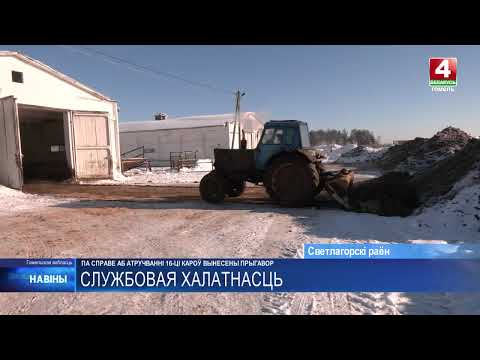 В Светлогорске состоялся суд по делу об отравлении 16 коров