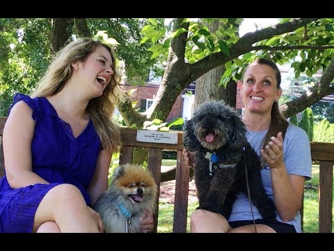 What's Up Westchester - Episode No. 43