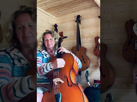 Minor Swing gypsy jazz on cello with looper