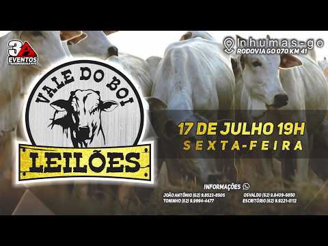 VALE DO BOI LEILOES - INHUMAS GO  - LEILAO VIRTUAL E PRESENCIAL -  17 DE  JULHO 2026