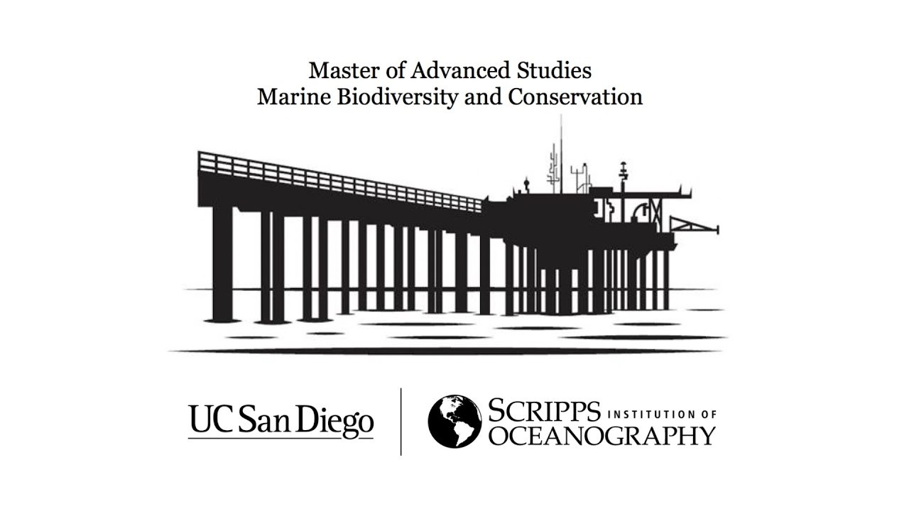 LIVE - 2026 MAS MBC Capstone Symposium
