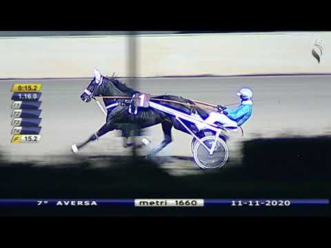 Aversa trotto 11 Novembre 2020 - 7° Corsa