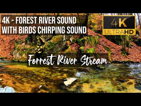 4K HDR Autumn Cascades - Forest Stream - Water Flowing Sounds - River Water Flowing - Sleep, Relax