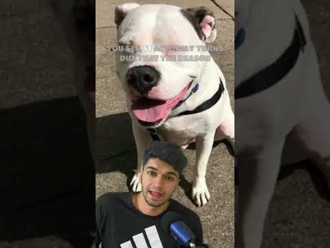 PEOPLE CALLED THE POLICE ON THIS GUY AND YOU WON’T BELIEVE WHY! #Shorts