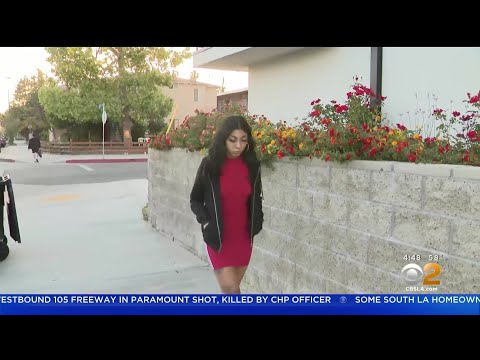 French bulldog named Moolan snatched by thieves in...