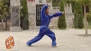 Shaolin small penetrating kung fu (tong bi quan)