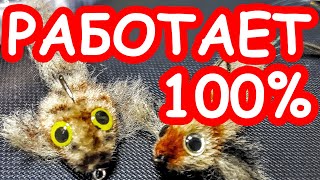 Все лучшие приманки для щуки и окуня