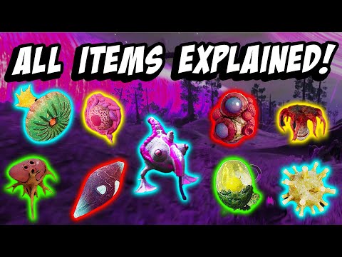 All Items Explained in the Eternal Cylinder!