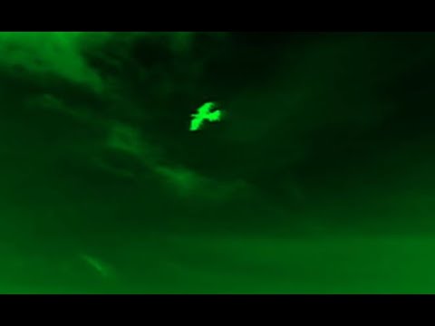 UAPT bird swoop for reference only 120422 2050 PM France