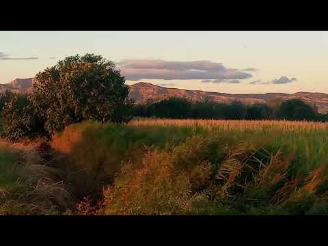 Efectos sutiles de la práctica de compartir méritos con todos los seres