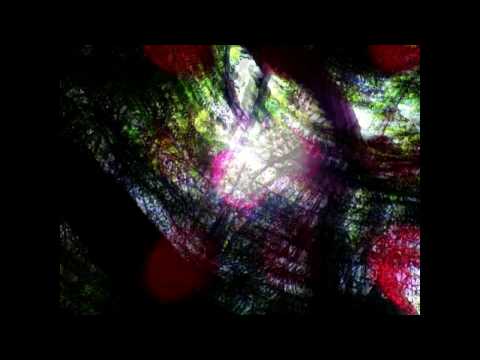 Ulmo Tree - Na Derevi