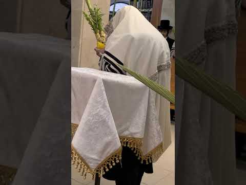 Kopishnitzer Rebbe shaking lulav part 1 5782