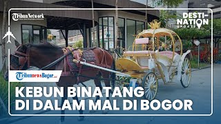 DESTINATION UPDATE: Mengunjungi Kebun Binatang di Dalam Mall di Bogor